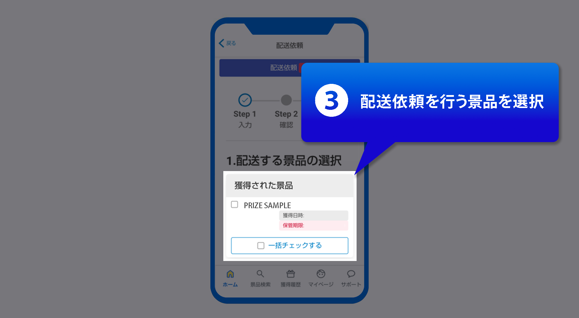 ギゴクレ景品配送依頼手順3の画像