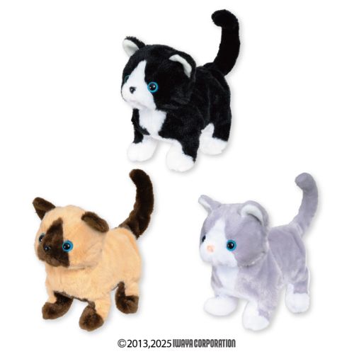 とことこ歩いてニャーニャー鳴く子猫たち2?タビーズ?